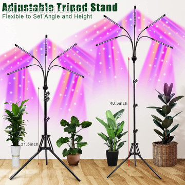 LED PLANT GROUNS LUZES DE ESPECTURO COMPLETO